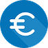 Euro Icon